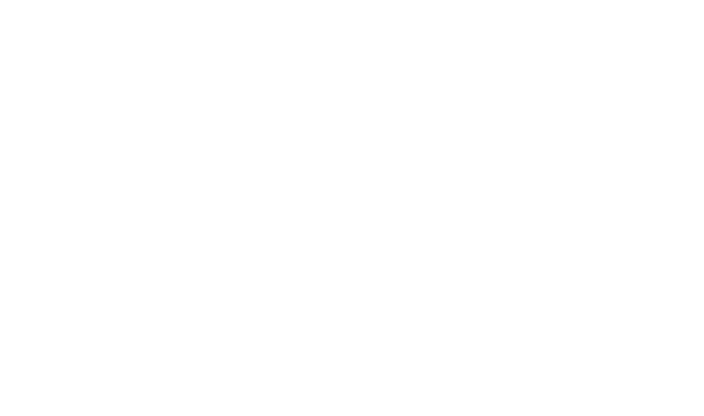 logo solvan electry_blanco